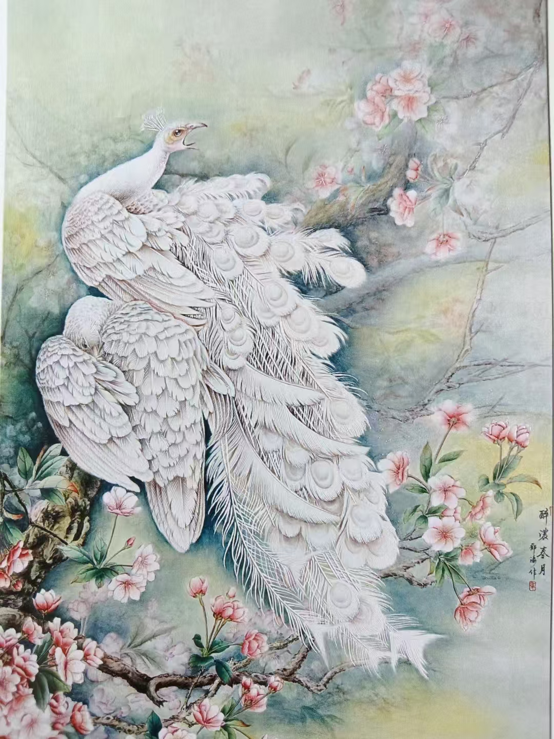 圖片 4.png